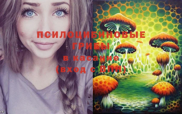 прущий лед Алексин