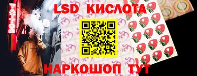прущие грибы Новодвинск