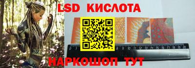 крисы Новозыбков