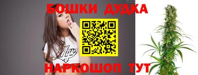 крисы Новозыбков