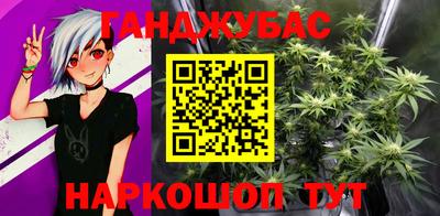 крисы Новозыбков