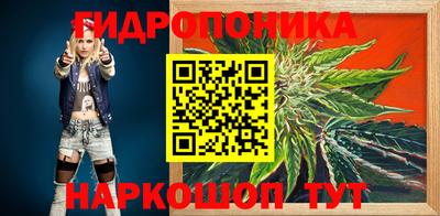 крисы Новозыбков