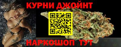 крисы Новозыбков