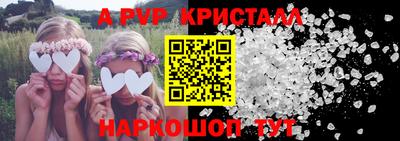 крисы Новозыбков