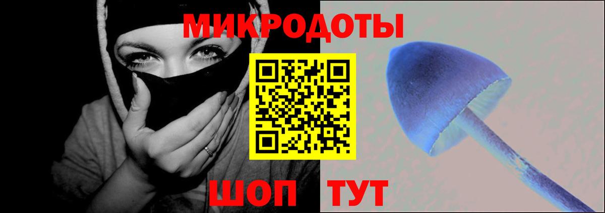 Саров  Галлюциногенные грибы прущие грибы  Вход с VPN  Галлюциногенные грибы мицелий 